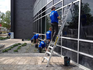 Window Cleaning From Ladders