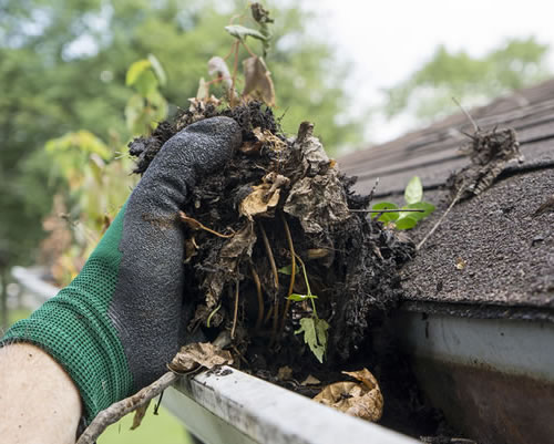 Gutter Cleaning Services