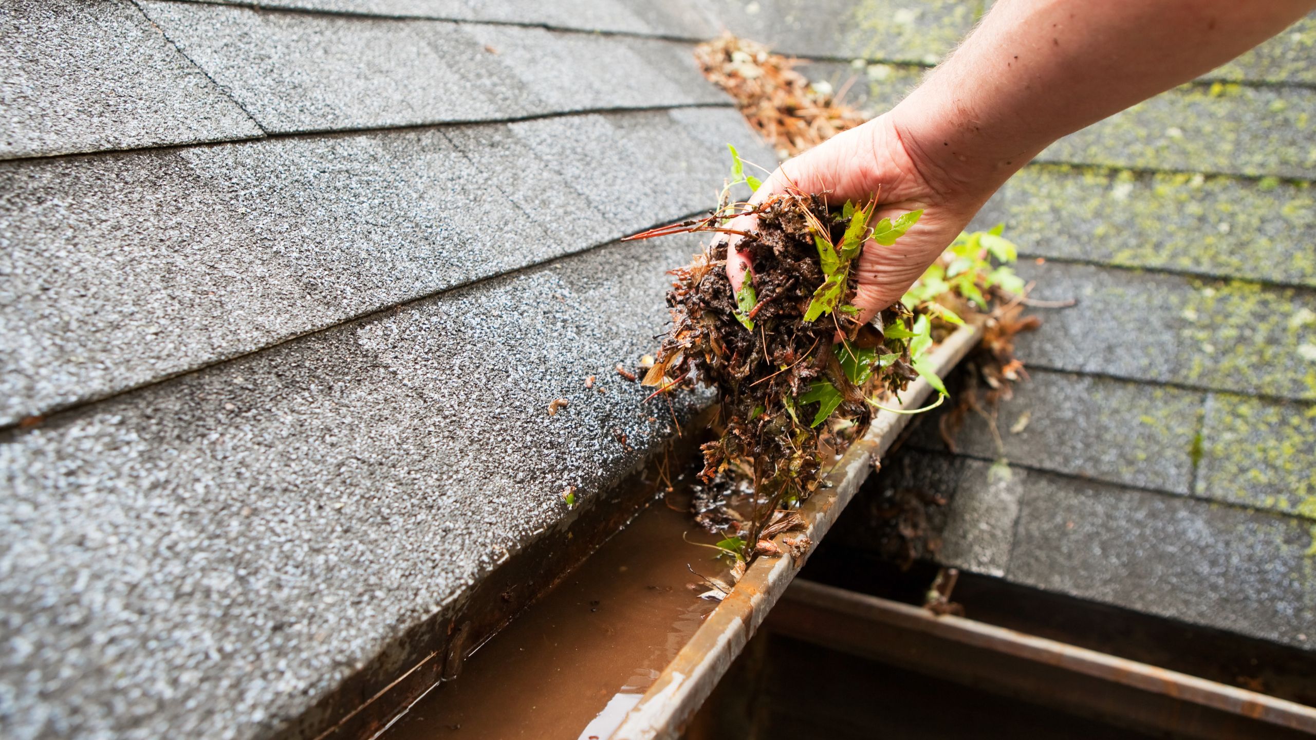 gutter cleaning winnipeg​